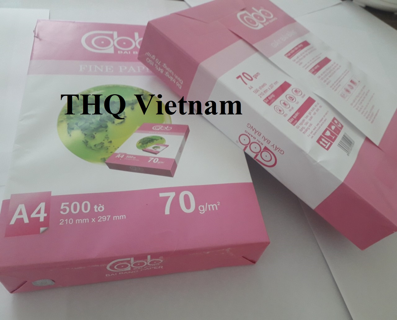 http://www.thqvietnam.com/upload/files/01b2714de511014f5800.jpg