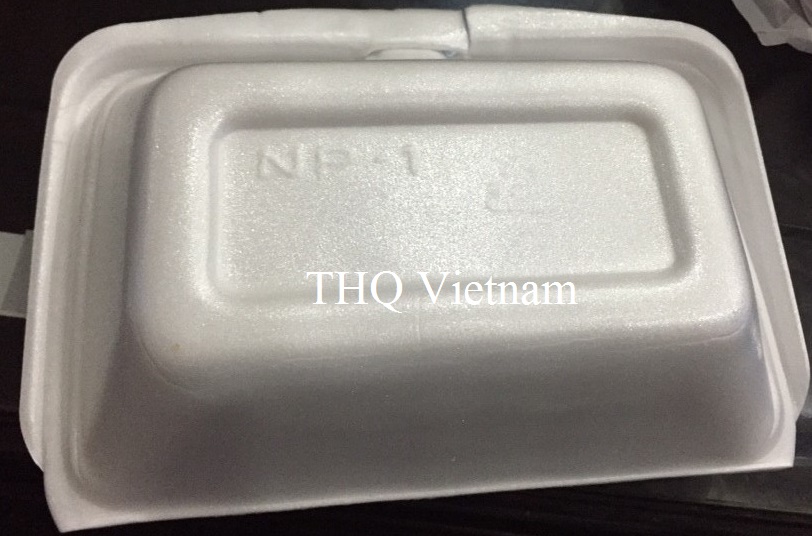 Lunch box foam NP1
