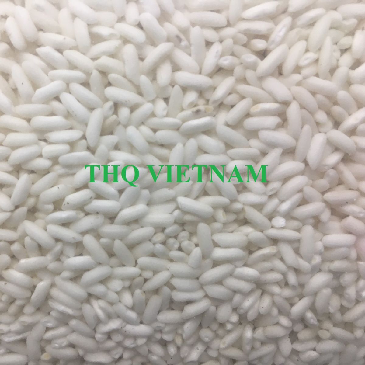 http://thqvietnam.com/upload/files/glutinous%20rice-3.jpg