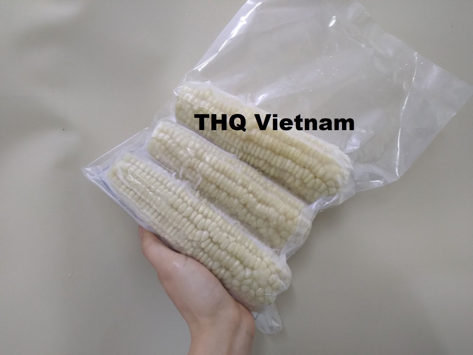 https://www.thqvietnam.com/upload/files/z2118393715963_166b2df53fa31a16da3324fbda97b61d.jpg